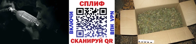 Где купить наркотики Ногинск Амфетамин  A PVP  Канабис  МЕТАМФЕТАМИН  Кокаин 