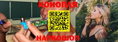 spice Гатчина