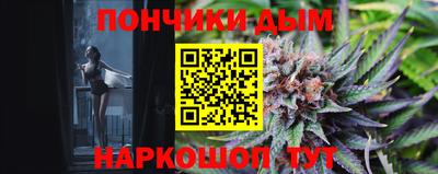 spice Гатчина