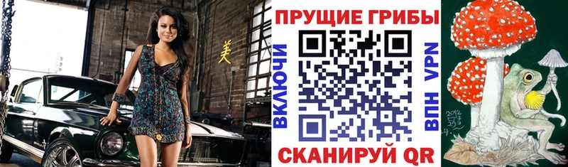 Галлюциногенные грибы Magic Shrooms Ногинск